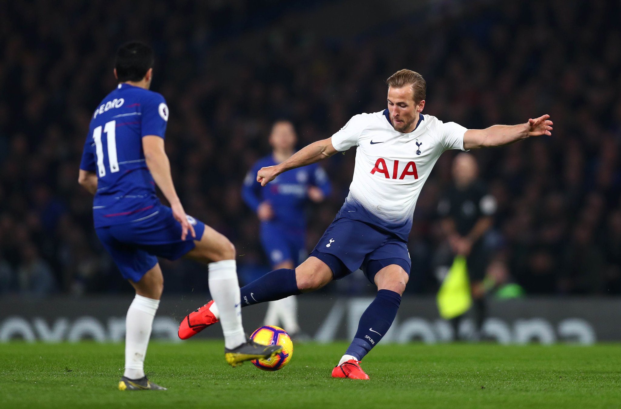 可能是大概 可能是大概